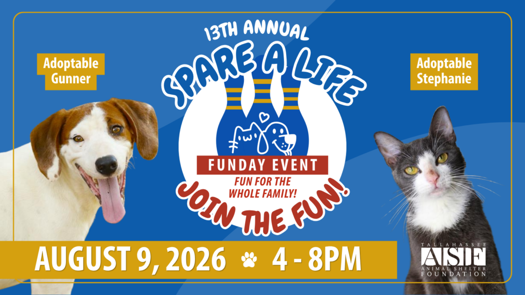 Adoptable dog Gunner Adoptable cat Stephanie
13th Annual Spare A Life Funday Event Join the Fun August 9, 2026 4-8pm