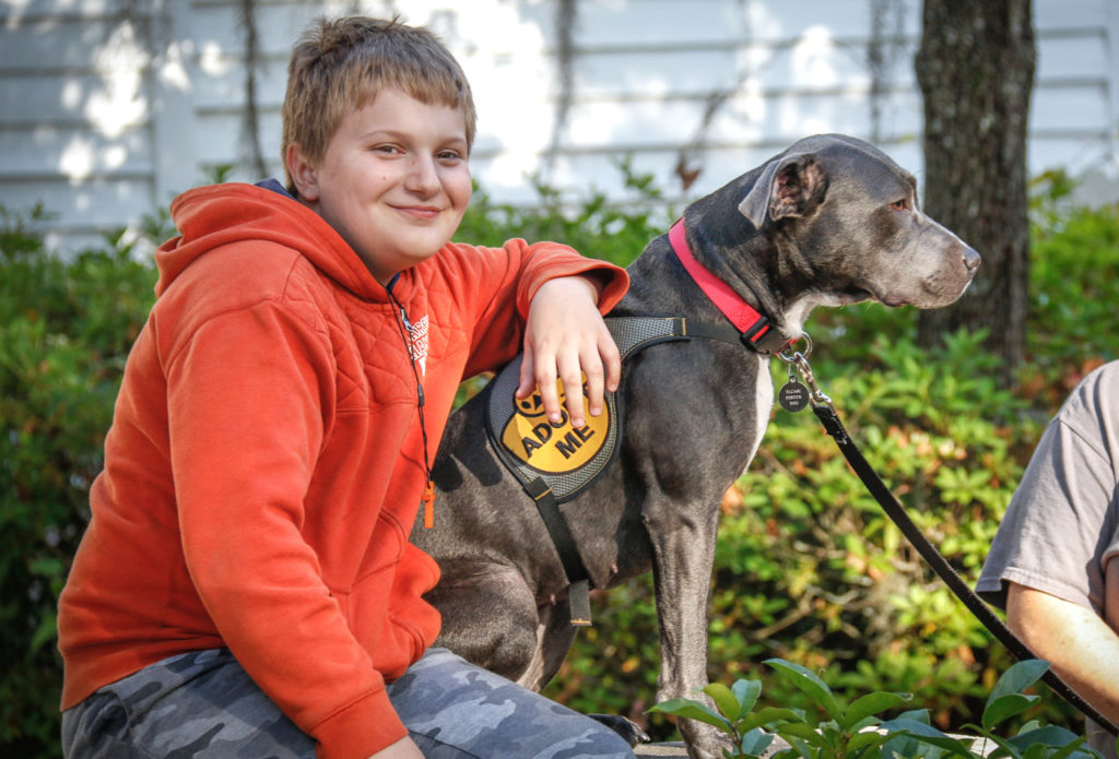 young person wearing orange hoodie sitting next to gray adopted dog