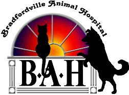 bradfordville animal hospital