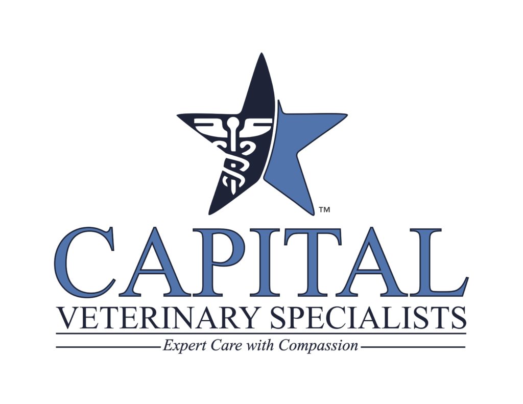 capital veterinary specialist
