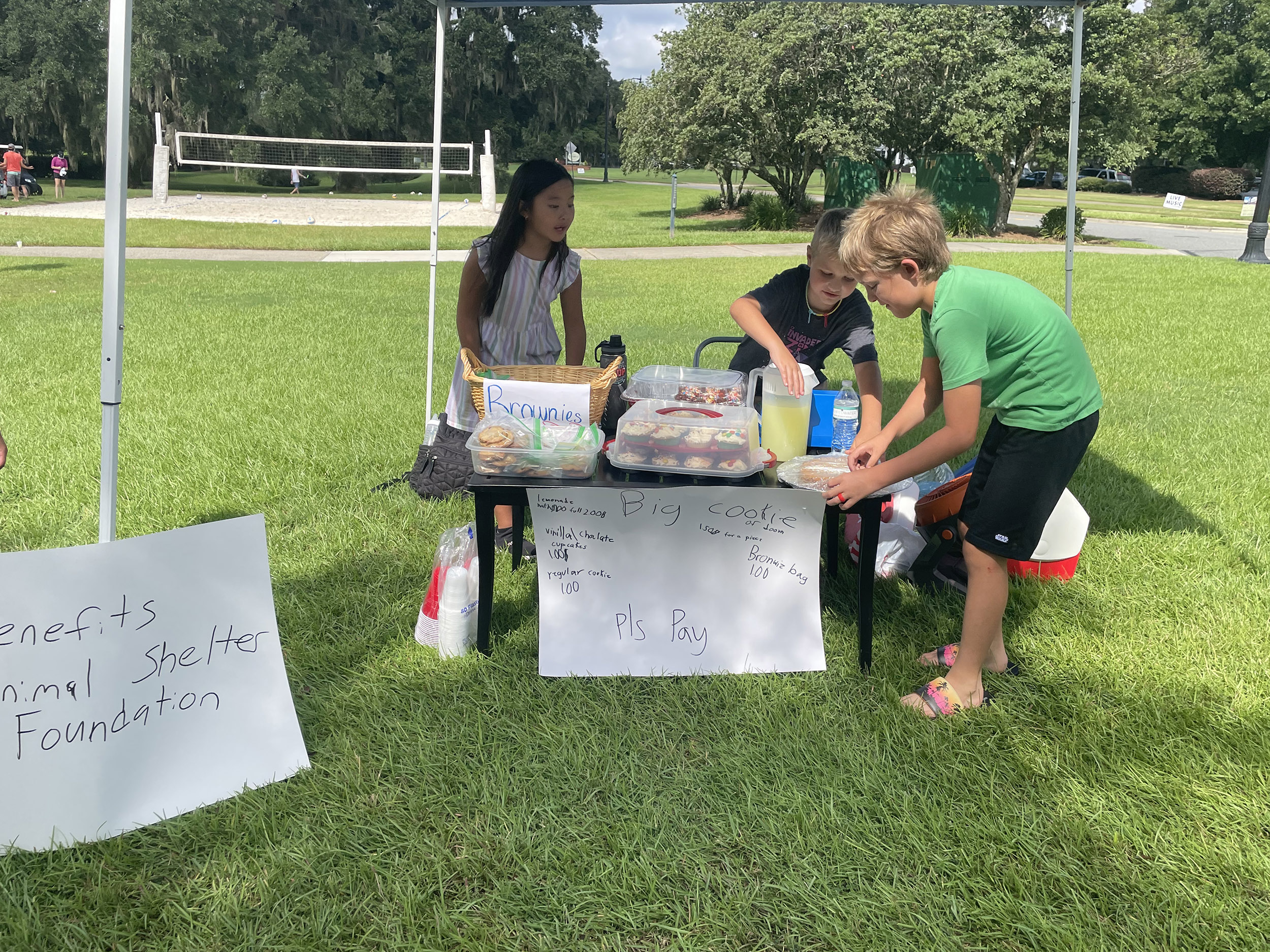 photo of children fundraising with lemonade stand