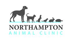 north hampton animal clinic
