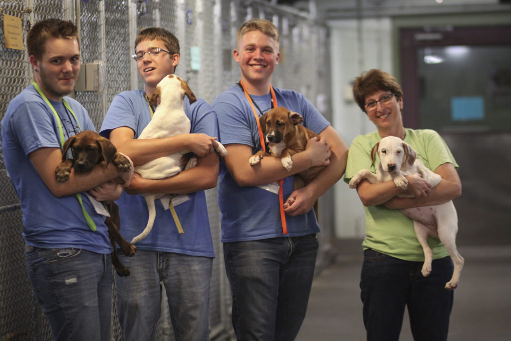Volunteers holding dogs at shelter