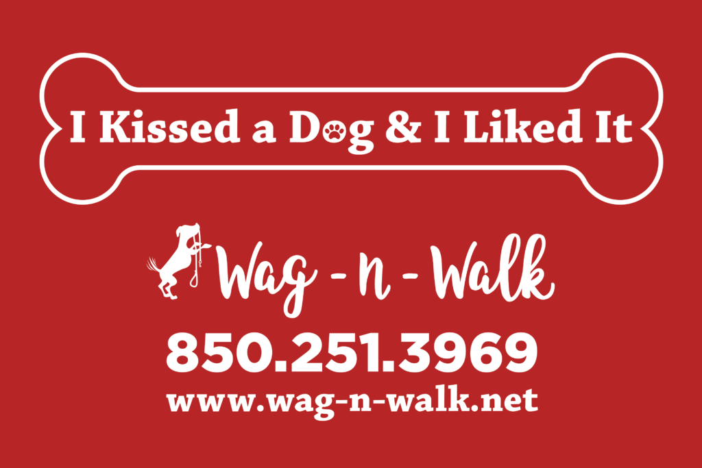 Wag and Walk logo
